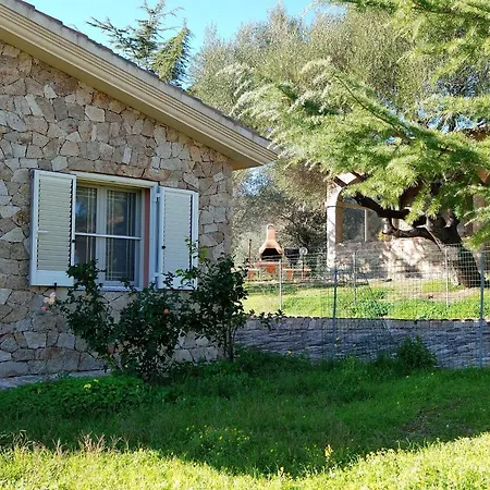 Schifoni House