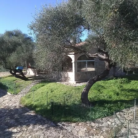 Schifoni House Maison d'hôtes San Teodoro (Sardinia)